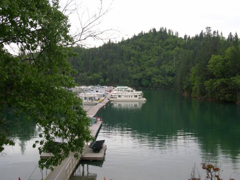 Experience the Beauty of Shasta Lake From the Marina