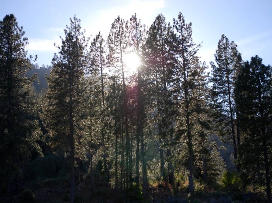 Visiting The RV Campground Shasta Lake
