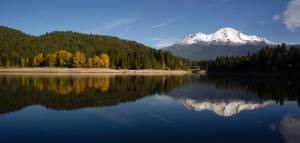 shasta lake ready for houseboats on a summer day