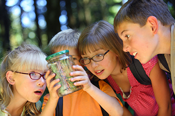 kids collect bugs on houseboat vacation