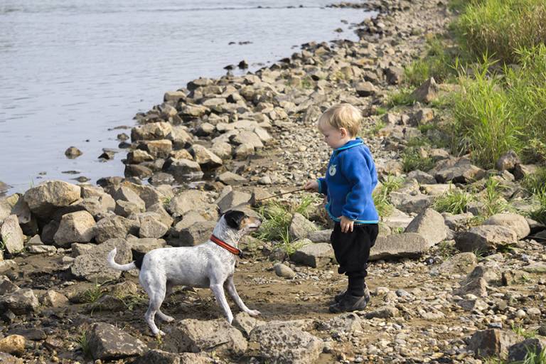 little boy and dog enjoy shasta lake houseboat rentals