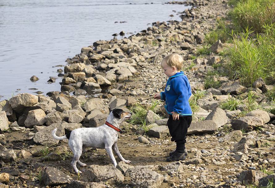 little boy and dog enjoy shasta lake houseboat rentals