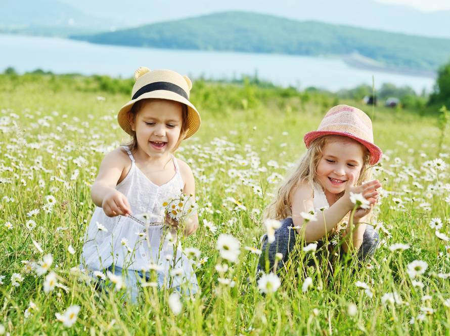 crafts during shasta lake houseboat rentals