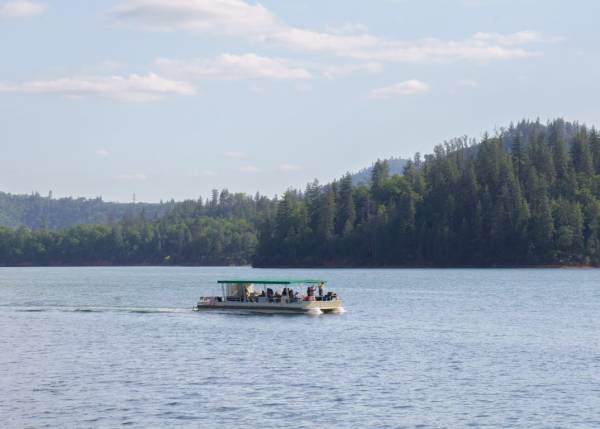 Patio Boat | Party Cruiser - Image 3