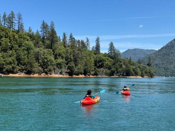 Paddle Boards, Canoes, & Kayaks - Image 2